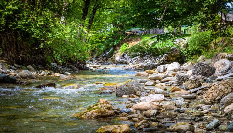 Urlaub am Bauernhof in Forstau, Ferienwohnungen