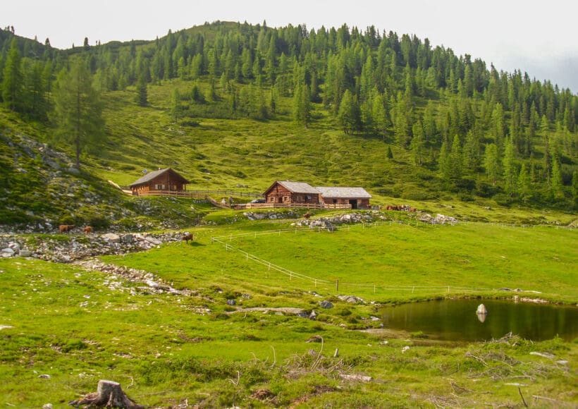 Hofeigene Alm - Steinkarlalm