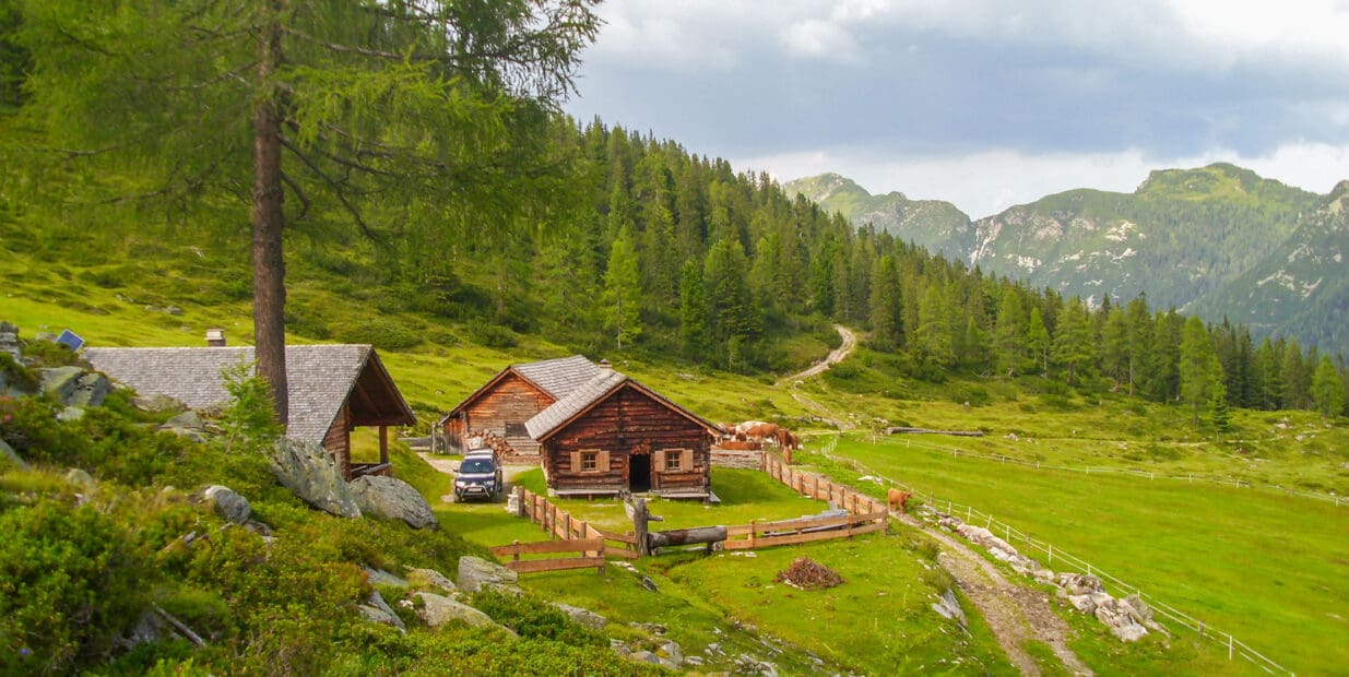 Hofeigene Alm - Steinkarlalm