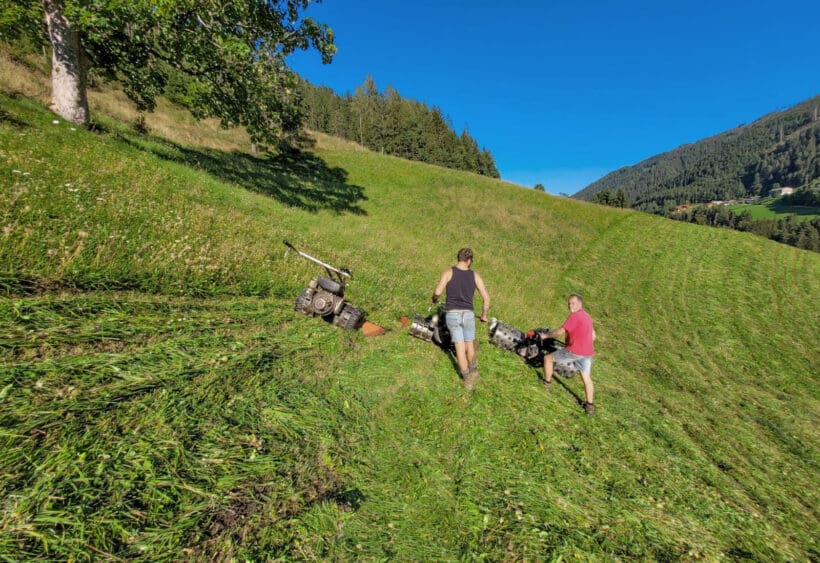 Urlaub am Bauernhof in Forstau, nahe Schladming