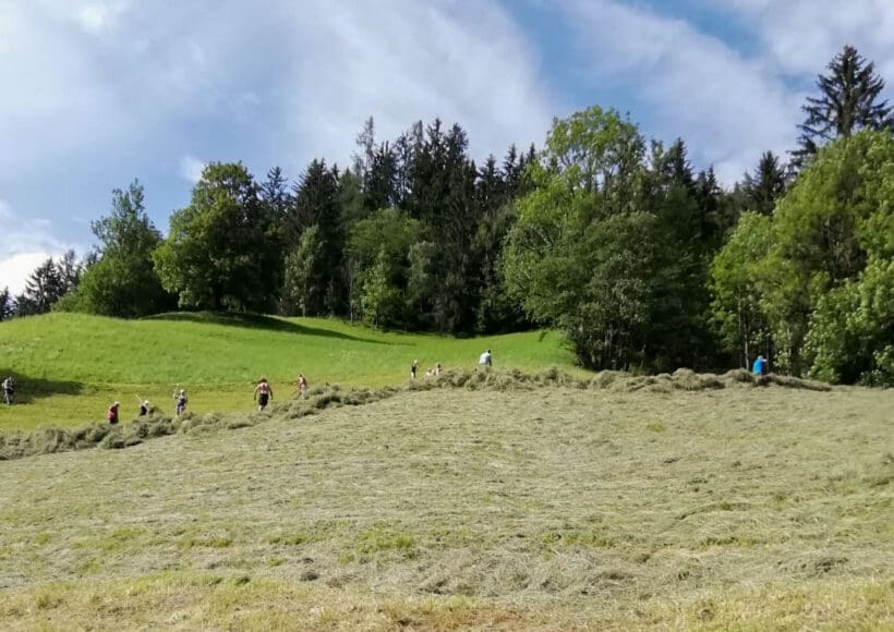 Urlaub am Bauernhof in Forstau, nahe Schladming