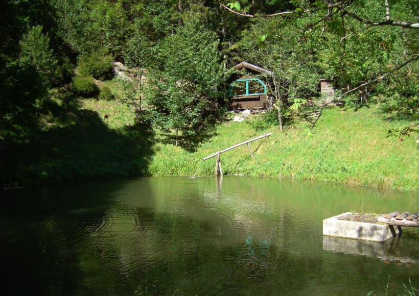 Urlaub am Bauernhof in Forstau, nahe Schladming