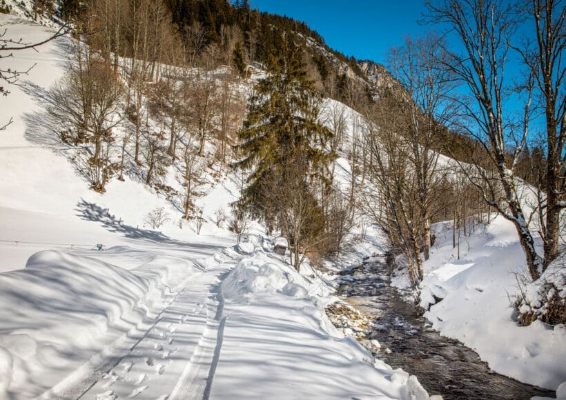 Urlaub am Bauernhof in Forstau, nahe Schladming