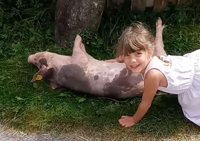 Urlaub am Bauernhof in Forstau, nahe Schladming